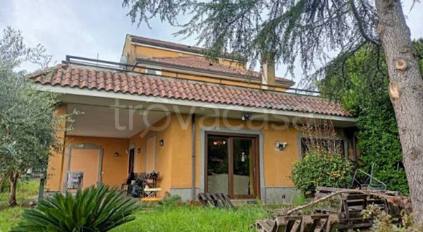 appartamento in vendita a Pignataro Interamna