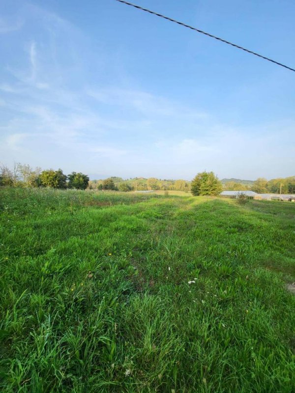 terreno agricolo in vendita a Pofi