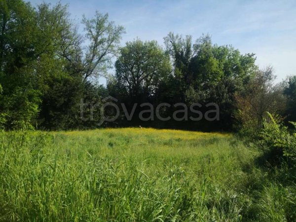 casa indipendente in vendita a Pofi