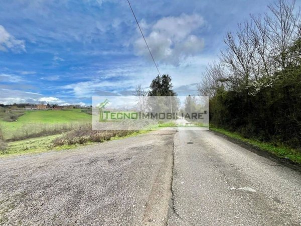 terreno agricolo in vendita a Pontecorvo
