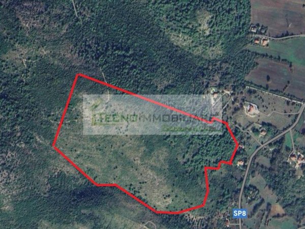 terreno agricolo in vendita a Pontecorvo