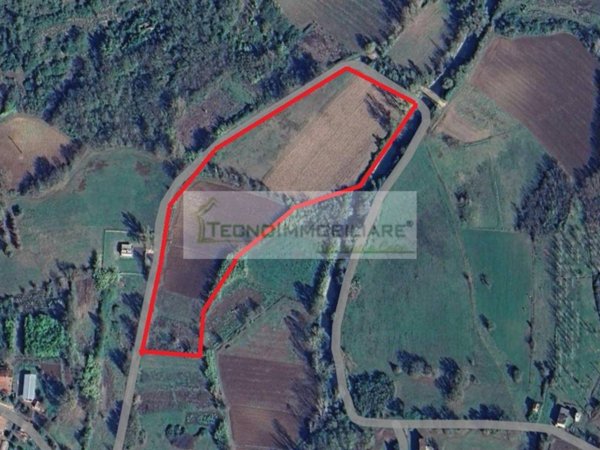 terreno agricolo in vendita a Pontecorvo