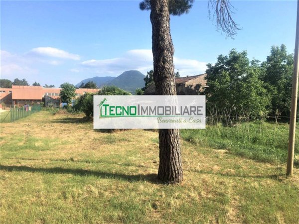 terreno agricolo in vendita a Pontecorvo