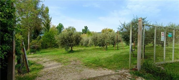 terreno agricolo in vendita a Pontecorvo