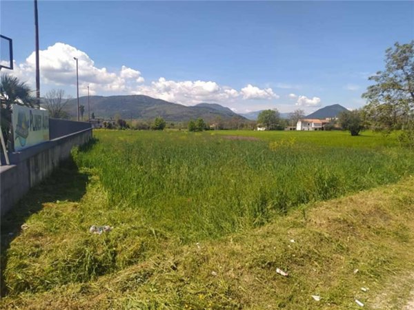 terreno agricolo in vendita a Pontecorvo
