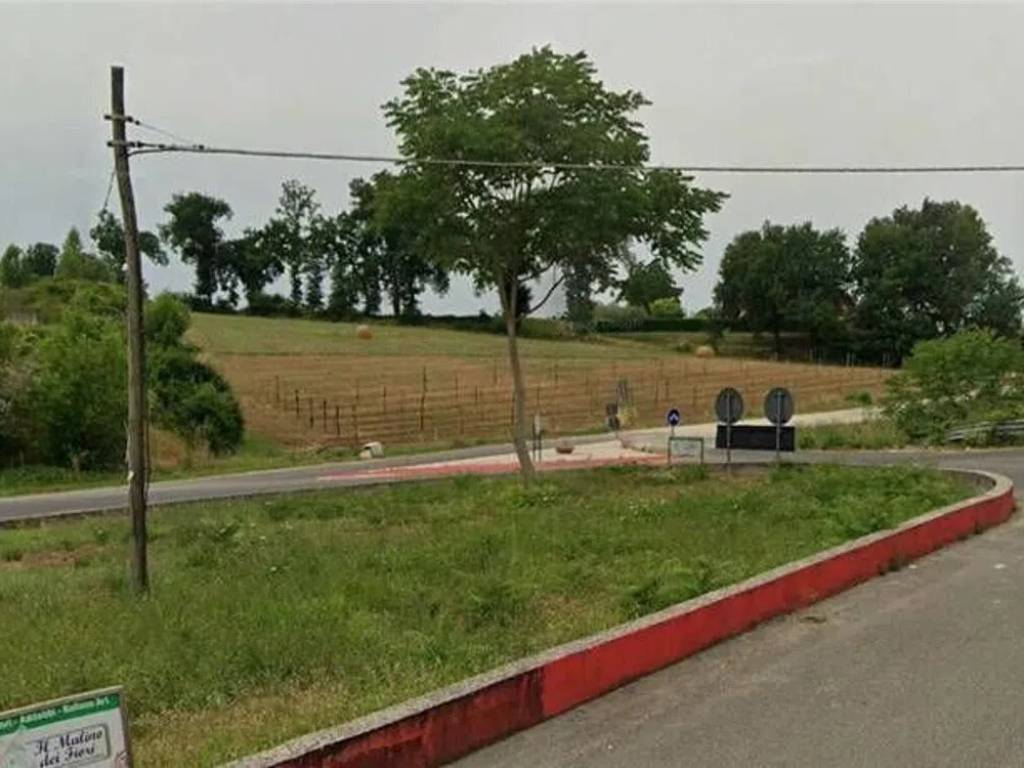 terreno agricolo in vendita a Pontecorvo