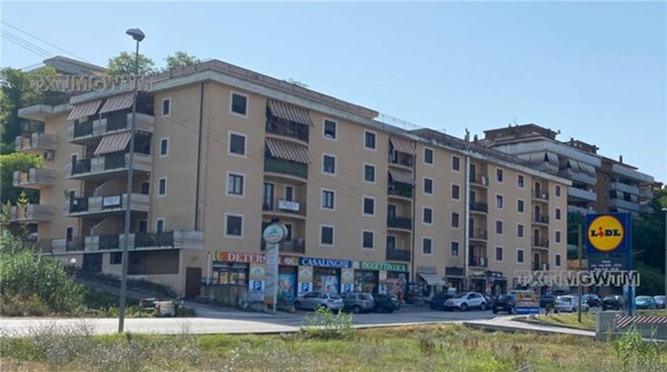 appartamento in vendita a Pontecorvo