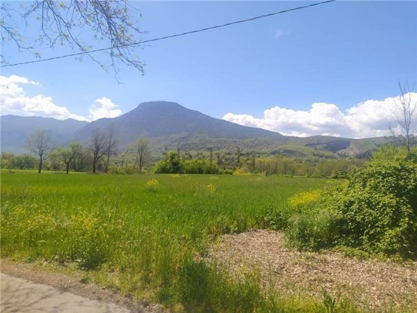 terreno agricolo in vendita a Pontecorvo