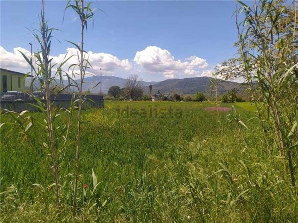 terreno agricolo in vendita a Pontecorvo