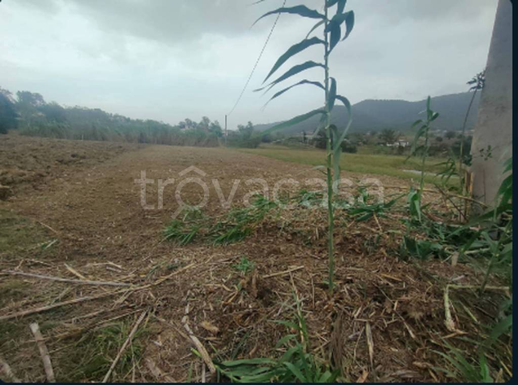 terreno agricolo in vendita a Pontecorvo