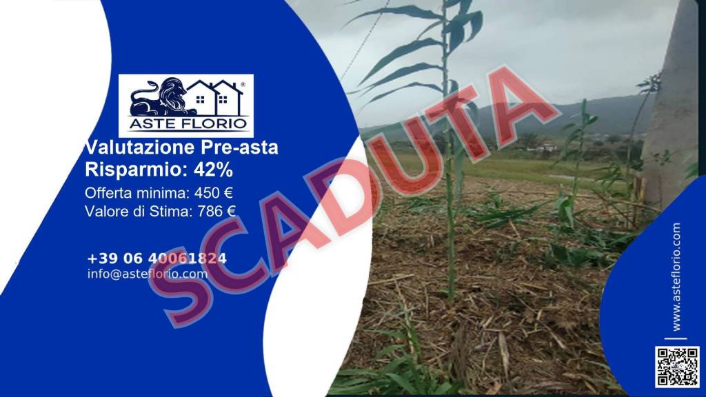 terreno agricolo in vendita a Pontecorvo