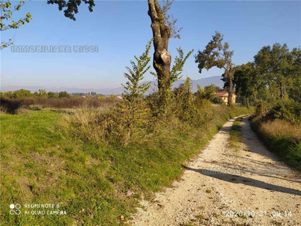 terreno edificabile in vendita a Pontecorvo