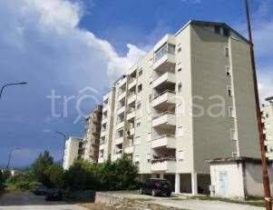 appartamento in vendita a Pontecorvo