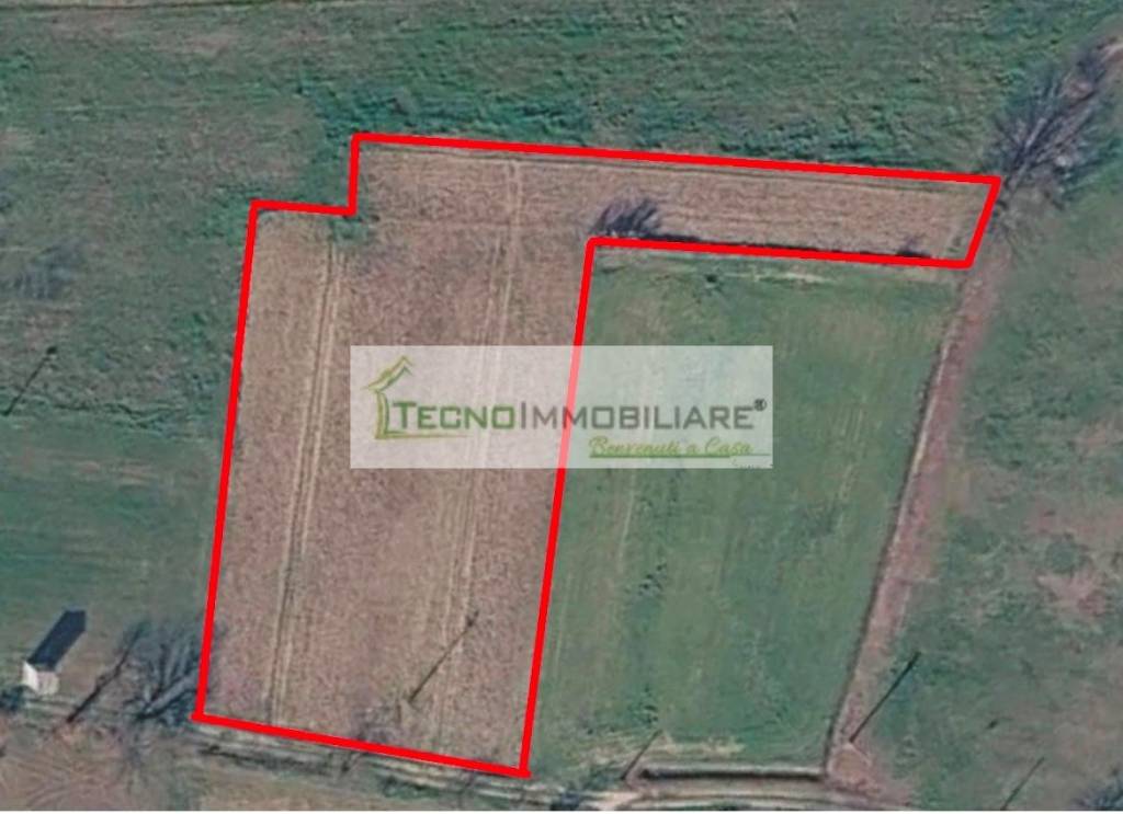 terreno agricolo in vendita a Pontecorvo