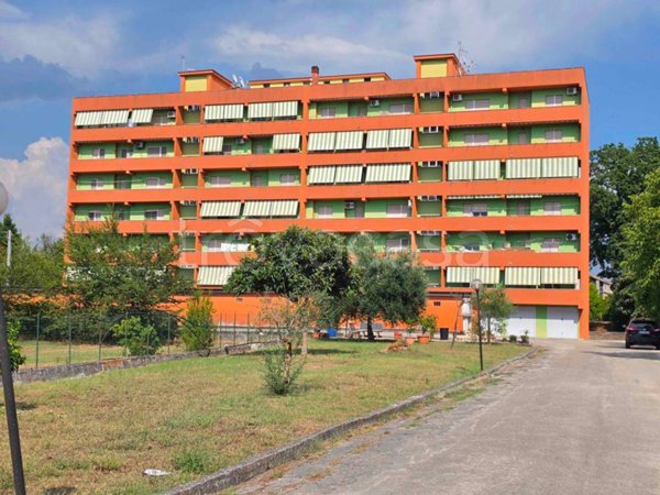 immagine annuncio 0 di 15
