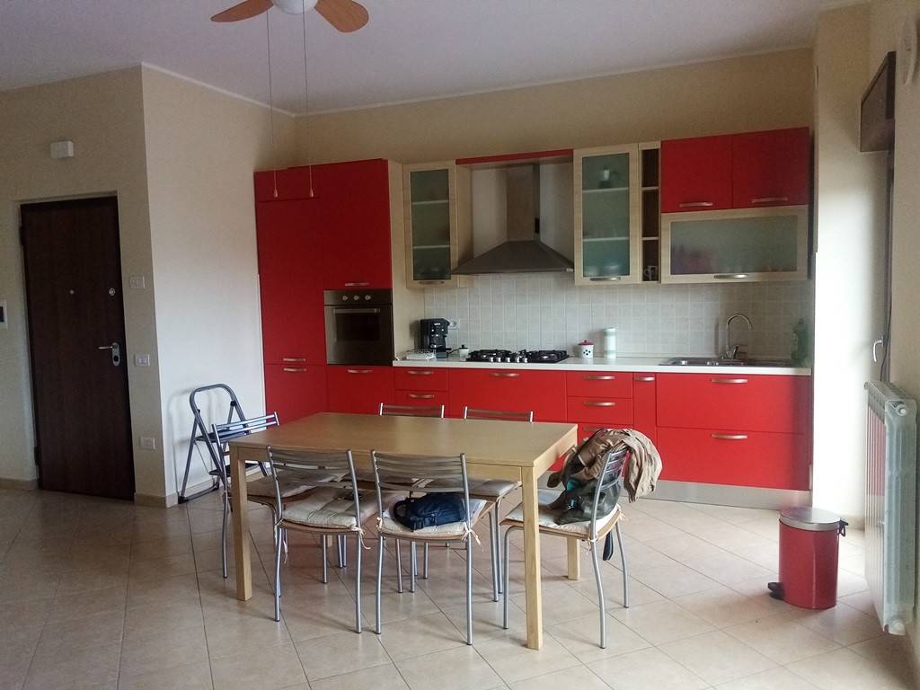 appartamento in vendita a Ripi