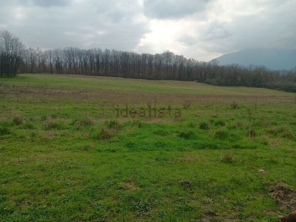 terreno agricolo in vendita a Ripi