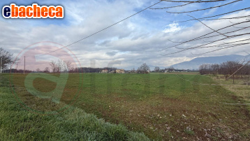 terreno agricolo in vendita a Roccasecca