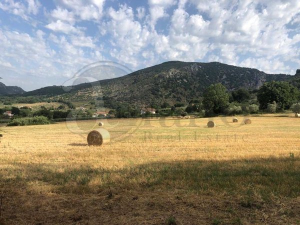 appartamento in vendita a Roccasecca