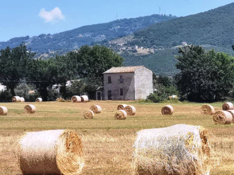 casa indipendente in vendita a Roccasecca