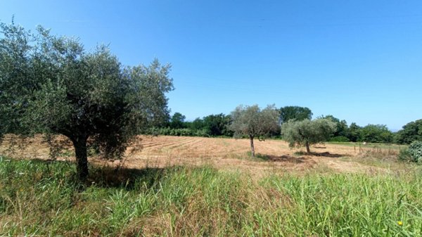 terreno agricolo in vendita a Roccasecca in zona Stazione