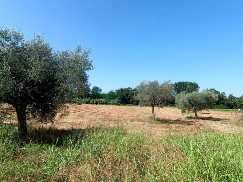 terreno agricolo in vendita a Roccasecca in zona Castello