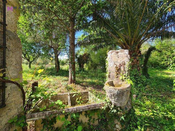 pentavano in vendita a San Donato Val di Comino