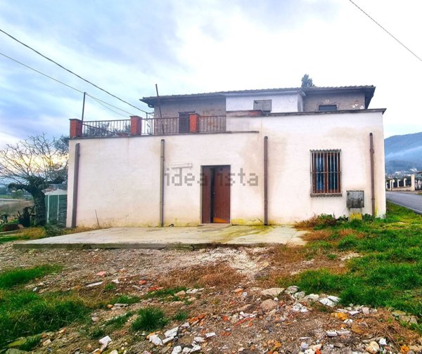 esavano in vendita a San Giovanni Incarico