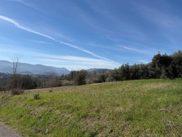 terreno agricolo in vendita a San Giovanni Incarico