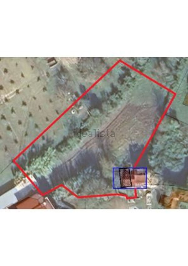 negozio in vendita a Sant'Ambrogio sul Garigliano