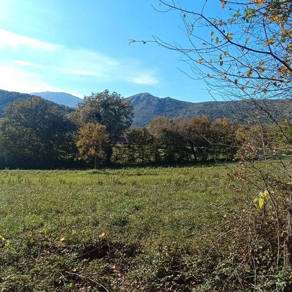 casa indipendente in vendita a Sant'Apollinare