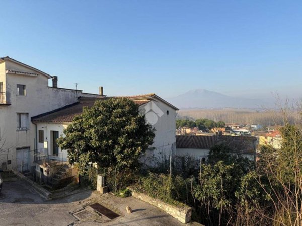 immagine annuncio 0 di 15