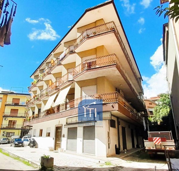 appartamento in vendita a Sant'Elia Fiumerapido