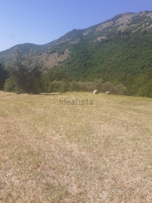 rudere in vendita a Sant'Elia Fiumerapido in zona Olivella