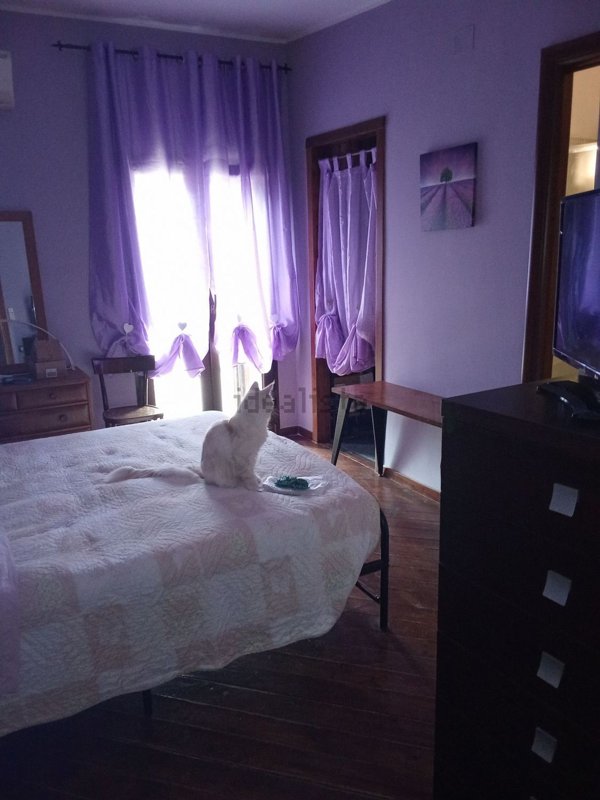 appartamento in vendita a Sant'Elia Fiumerapido