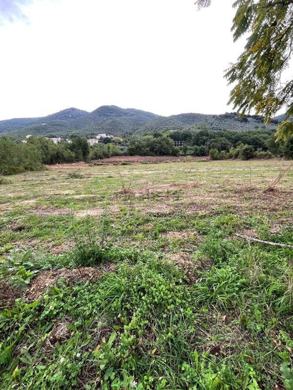 terreno agricolo in vendita a Sant'Elia Fiumerapido in zona Olivella