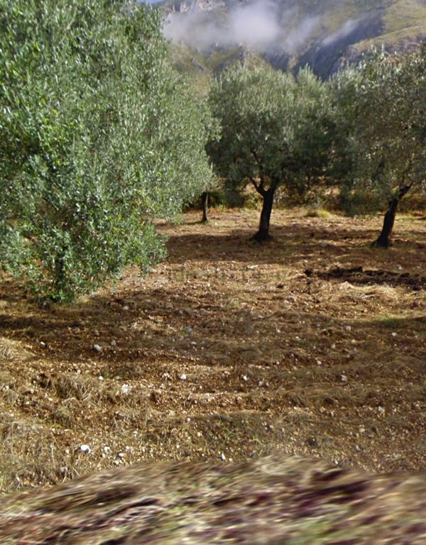 terreno agricolo in vendita a San Vittore del Lazio