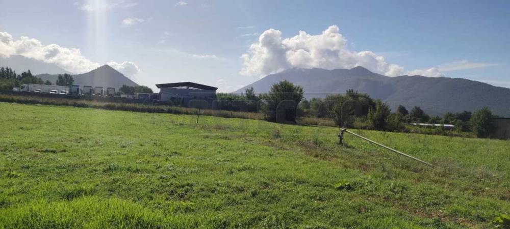 terreno agricolo in vendita a San Vittore del Lazio