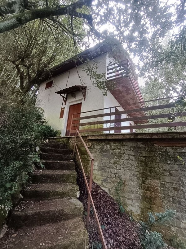 pentavano in vendita a Serrone