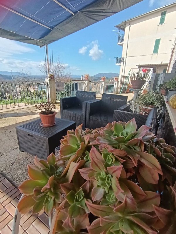 immagine annuncio 0 di 1