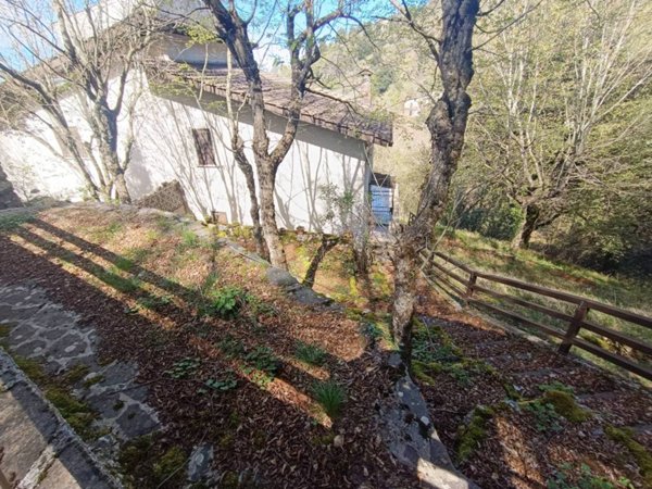 casa indipendente in vendita a Serrone