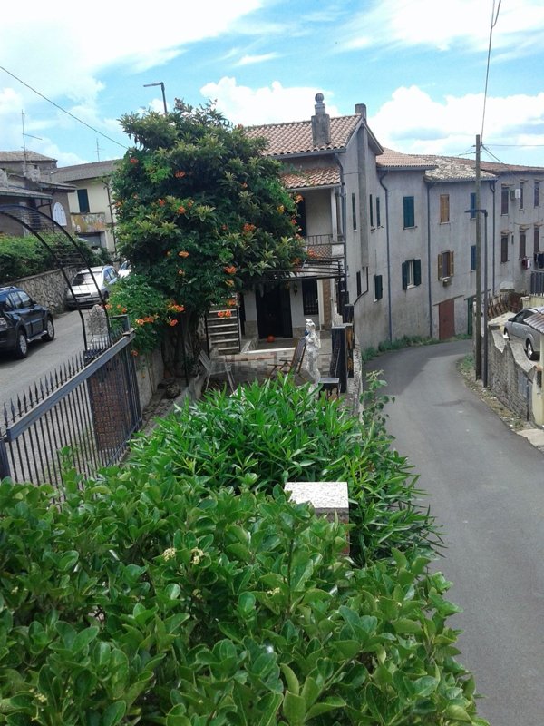 pentavano in vendita a Serrone