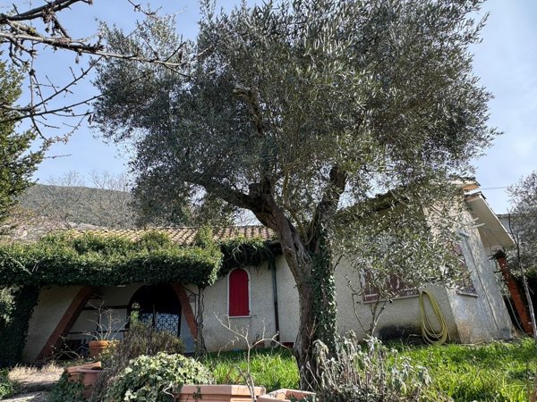 casa indipendente in vendita a Serrone in zona La Forma