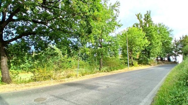 terreno agricolo in vendita a Serrone in zona La Forma