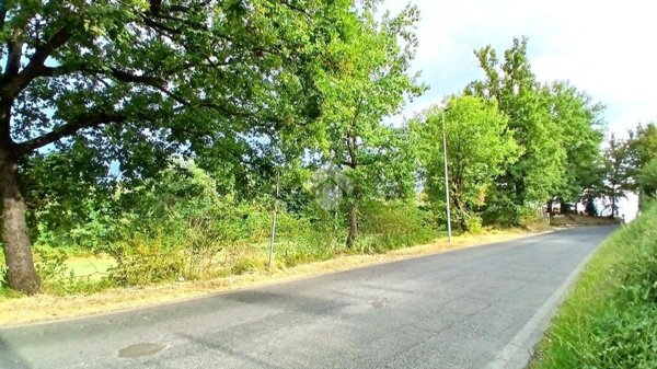 terreno agricolo in vendita a Serrone in zona La Forma