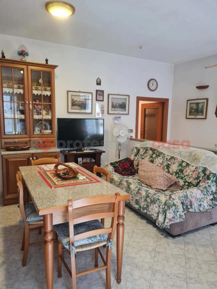 appartamento in vendita a Sgurgola