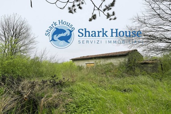 appartamento in vendita a Sgurgola