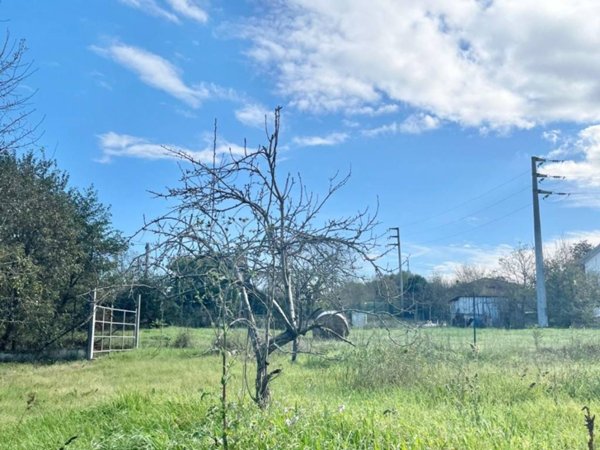 terreno agricolo in vendita a Sgurgola