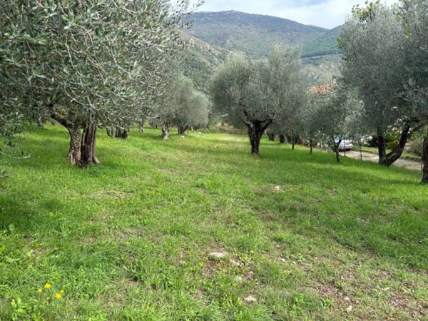 terreno agricolo in vendita a Sora