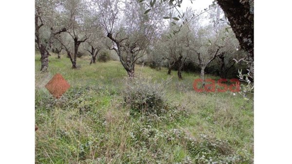 appartamento in vendita a Sora